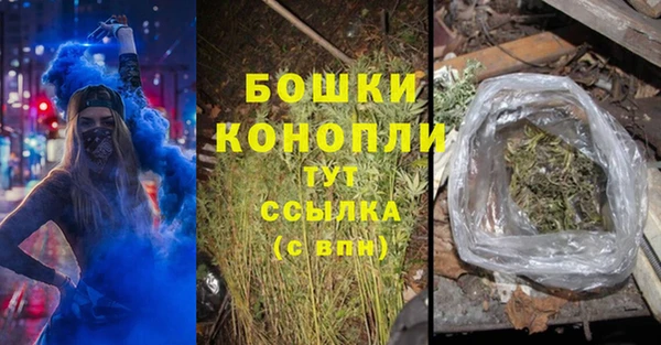 гидра Медвежьегорск