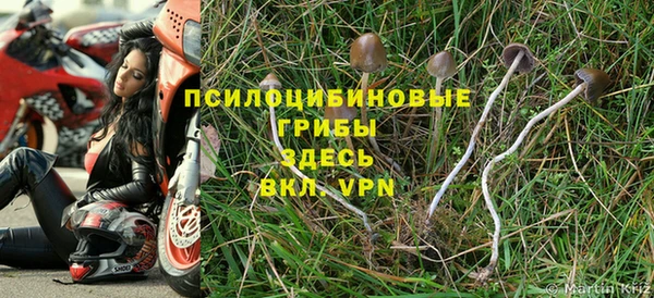 ГАЛЛЮЦИНОГЕННЫЕ ГРИБЫ Мегион