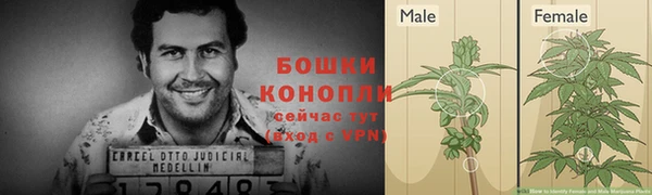 гидра Медвежьегорск