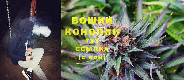 2c-b Медногорск