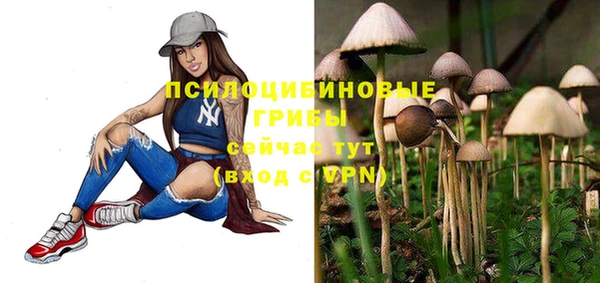 гидра Медвежьегорск