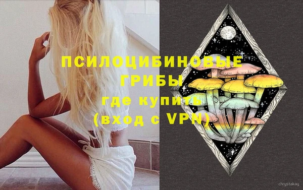 2c-b Медногорск