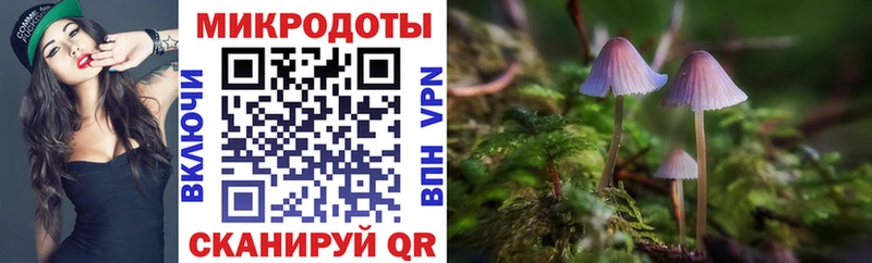 Галлюциногенные грибы мухоморы  Холм 