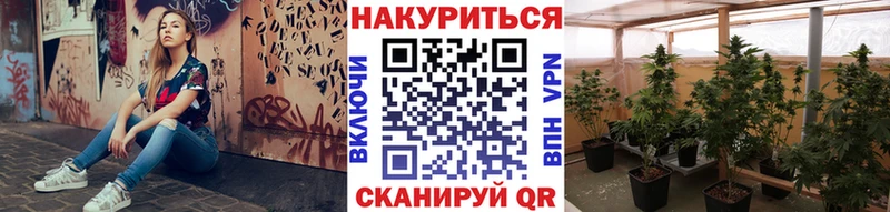 Канабис AK-47  купить закладку  Холм 